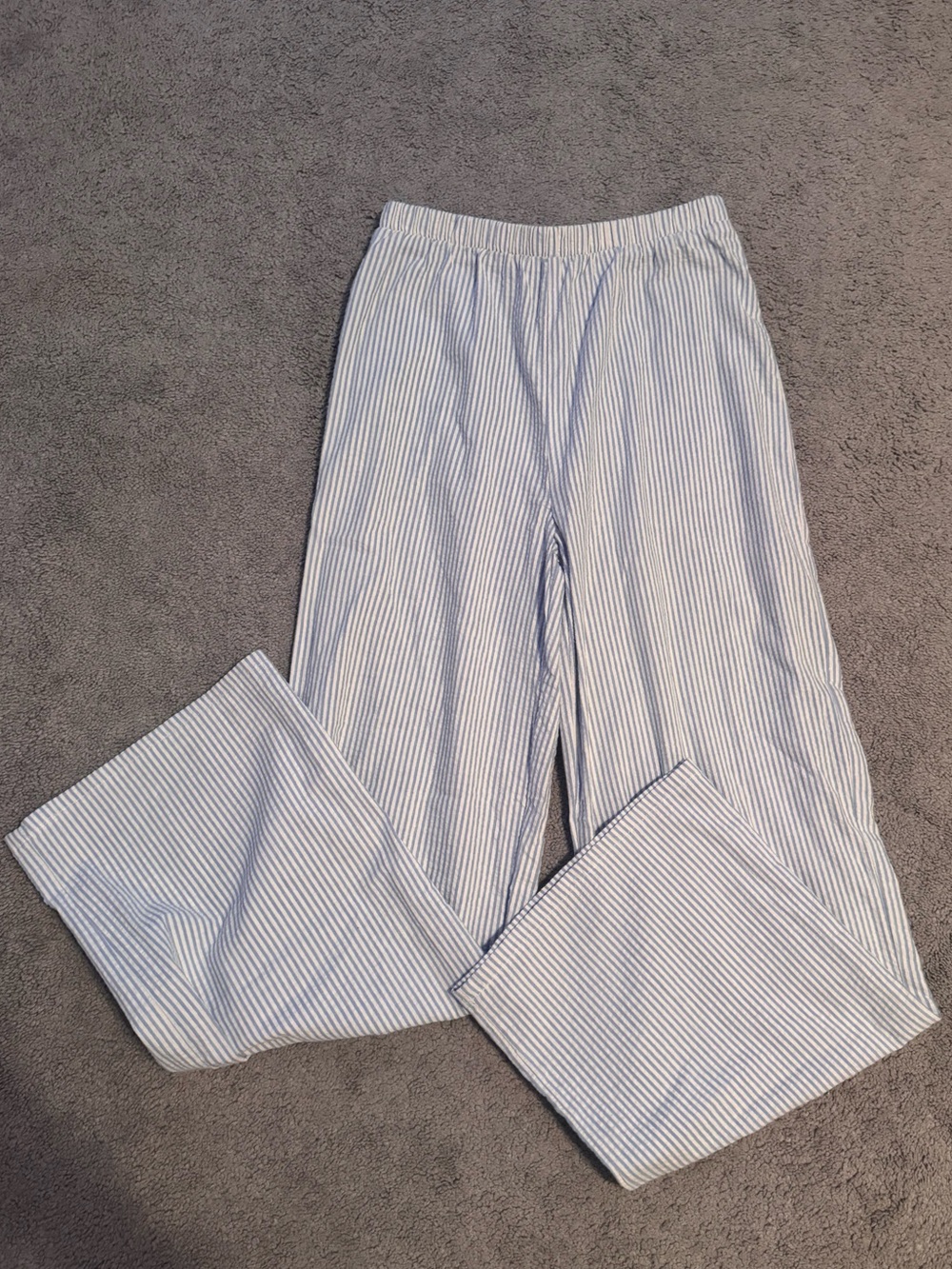 Altard State Blue Striped Pants